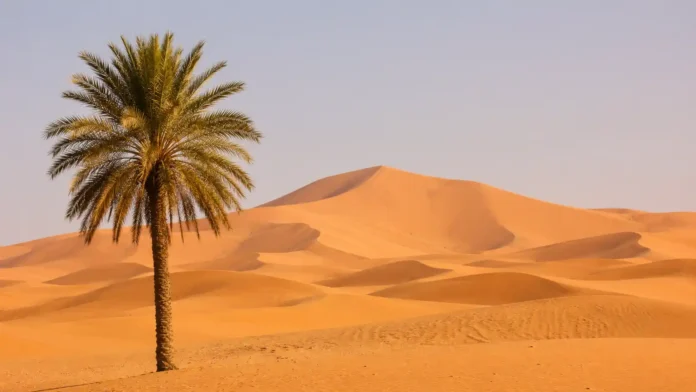 Meteorological Summer Ends in Saudi Arabia